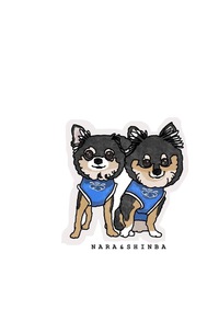 しんば&なら
